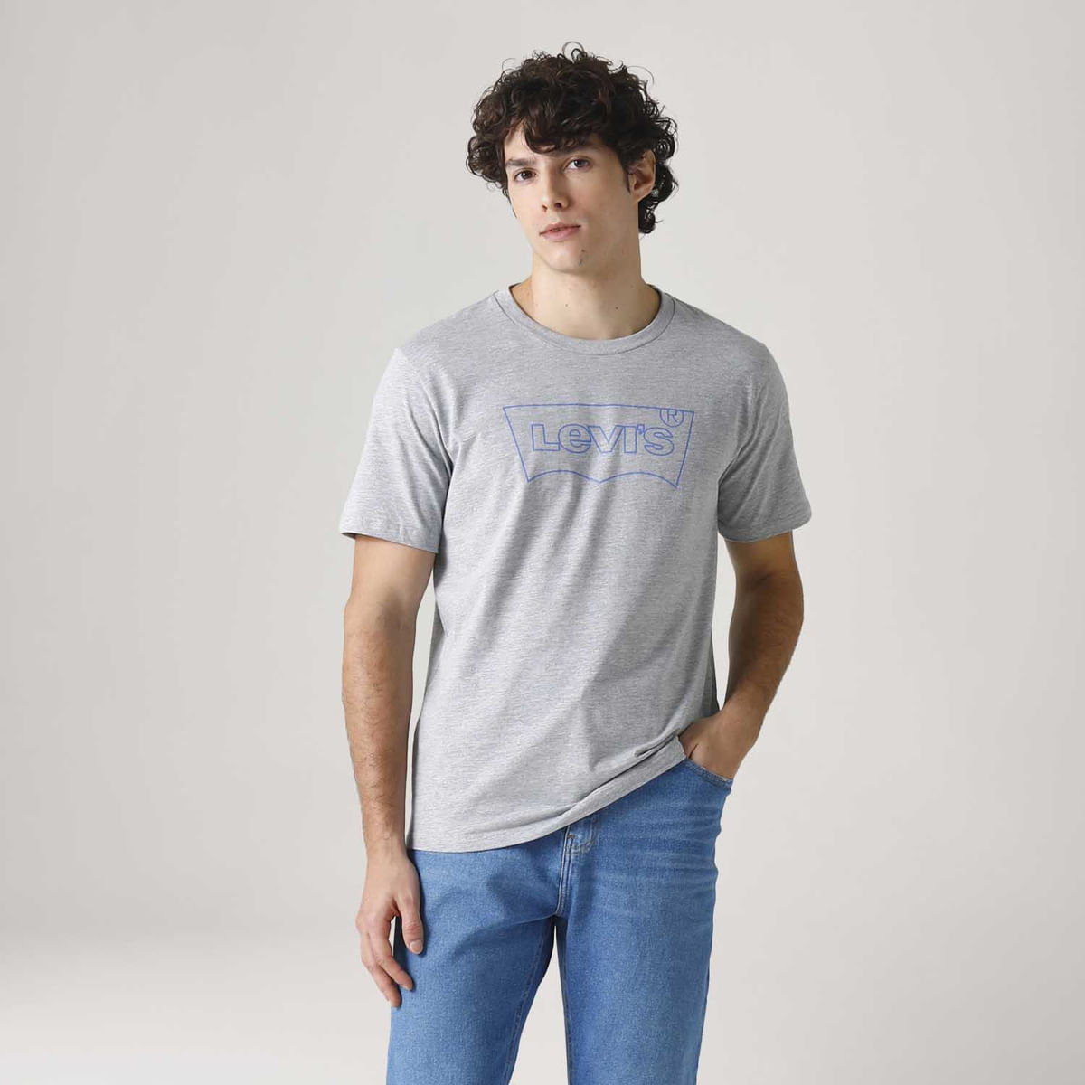 Camiseta Levi's® Graphic Set-in Neck Cinza Manga Curta